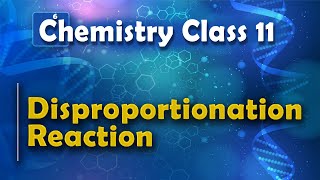 Disproportionation Reaction  Redox Reaction  Chemistry Class 11 [upl. by Suiremed]