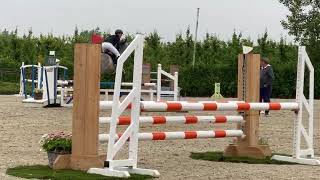 Uger Jumping Zepperen 4 jarige paarden 1062024 [upl. by Acemaj286]