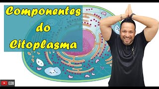 Componentes do Citoplasma  Composição das Células  Partes da Célula  Citologia [upl. by Garrity]