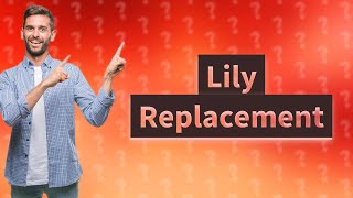 Why did Lily get replaced on Modern Family [upl. by Lunneta]