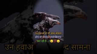 Eagle attitude shayari music shorts treanding motivation [upl. by Yrtneg]