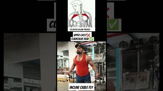 Upper Chest ❌ Clavicular Head ✅ chestexercises chestworkout chestday [upl. by Padraig]