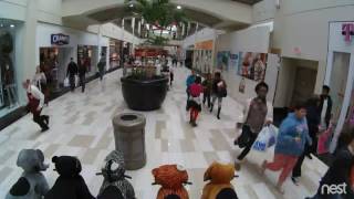 Crossgates Mall Shooting Video [upl. by Vasquez65]