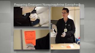 Making an Emergent NorepinephrineLevophedDrip [upl. by Issirk]