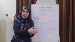 LIPID METABOLISM Biochemistry Session 3Lipogenesis part1 [upl. by Stahl307]