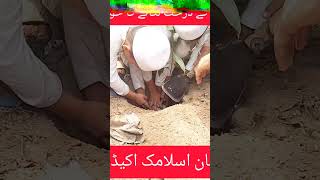 ننھے بچوں کا درخت لگانے کا خوبصورت منظر شجر درختکاری islamcvideo viralvideo [upl. by Sorcha]