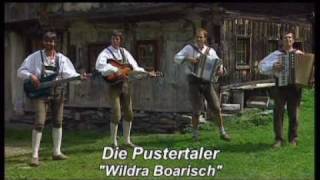 Die Pustertaler  Wildra Boarisch [upl. by Lynd392]