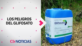 GLIFOSATO ¿Qué es y por qué aseguran que es peligroso  VIVIR MEJOR  Reportaje CHV Noticias [upl. by Kizzee]