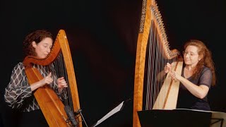 Celtic Harp Duo quotFrom Silence to the Heartquot quotAus der Stille ins Herzquot feat Eva Curth [upl. by Aven]