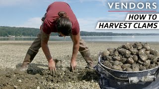 The Techniques Behind Harvesting the Best Clams on the West Coast — Vendors [upl. by Shiller]