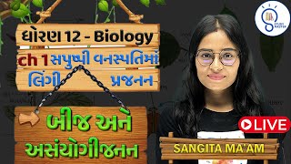 Std 12 Biology ch1 સપુષ્પી વનસ્પતિઓમાં લિંગી પ્રજનન  Sexual Reproduction in Flowering Plants  L 6 [upl. by Nerro387]