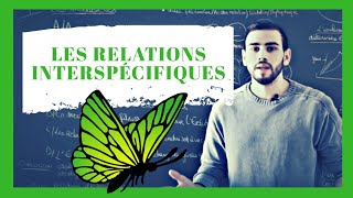 BCPST 🦋  Colle de biologie Les relations interspécifiques  Colle de biologie [upl. by Olrac852]