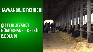 Hayvancılık Rehberi  Çiftlik Ziyareti  Gümüşhane  Kelkit  2Bölüm [upl. by Nolahc]