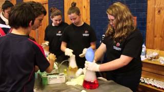 Chifley College Preparing for Youth Eco Summit [upl. by Erica]