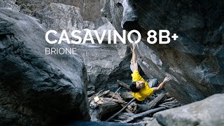 Casavino 8B Brione [upl. by Aharon403]