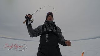 FISHING WALLEYES WITH DEAD STICKS The perfect set up [upl. by Hannibal]