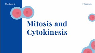 Mitosis and Cytokinesis [upl. by Wilfred]