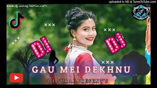 Free FLM project Gau May Dekhnu tharu Dj Song [upl. by Thirza232]