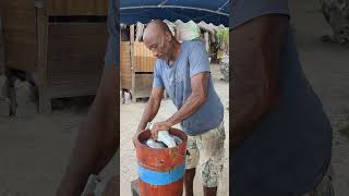 Fabrication du sorbet coco en Guadeloupe [upl. by Sisak]