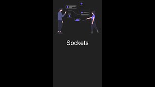 Create a Socket Connection in Dart  shorts [upl. by Airdnekal714]