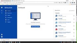 How to pull from bitbucket [upl. by Carlin]
