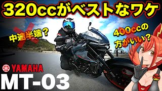 【発見】MT03の320ccは中途半端だと思ってたが良い選択だ【YAMAHAヤマハMT03】 [upl. by Gehlbach]