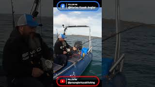 Skate fishing  small boat fishing UK  Whaly fishing  boatfishing fishing boatfishinguk short [upl. by Dnalrah]