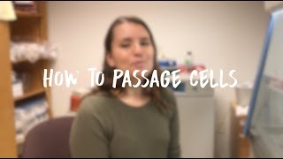 Passaging Cells [upl. by Yelak293]