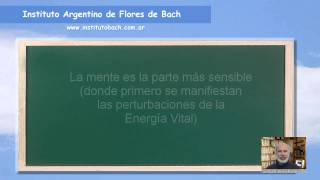 Flores de Bach Guía para su correcta selección Audiotutorial [upl. by Sidoney]