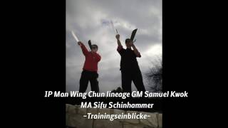 Wing Chun Trainingsmitschnitt Muenchen [upl. by Haneehs]