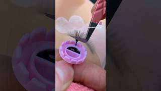 UNIQUE EYELASH SETTING TUTORIAL  short shorts shortsfeed shortvideo shots eyelashes viralshot [upl. by Dohsar]