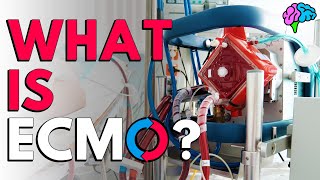 What is ECMO The basics explained [upl. by Laoj]