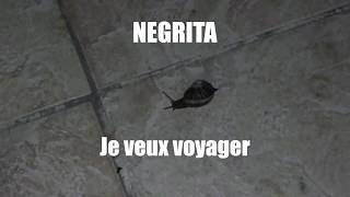 quotJe veux voyagerquot de Negrita [upl. by Dnalyaw335]