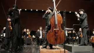 Giovanni Bottesini  Gran Duo Concertante for Double Bass and Violin [upl. by Horwitz]