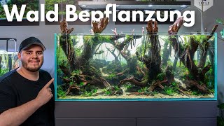 Aquascaping Tutorial Diorama Wald Aquarium bepflanzen [upl. by Edalb321]