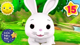 Bunnies Bunnies Bunnies  Nursery Rhymes for Kids  Little Baby Bum Kids Songs  Little Baby Morning [upl. by Hirza]