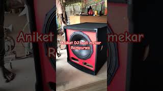 2000 watt RCF DJ cabinet box good quality high vibration  Ahuja 2000 watt speaker best voice [upl. by Lekkim]