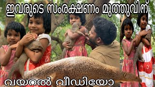 ഈ കുഞ്ഞുങ്ങളുടെ സംരക്ഷകൻ മുത്തു എന്ന ഈ കീരിയാണ് [upl. by Rush]