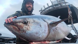 Southern Bluefin Tuna caught in the Hokitika Trench NEW ZEALAND with josh james and friends [upl. by Ahsyek459]