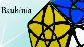 Bauhinia Dodecahedron  Review  Español [upl. by Graniah]