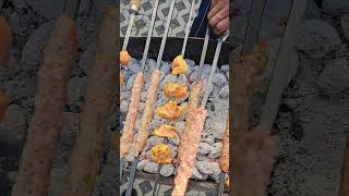 Grillen  Pfungstadt  2024  Ahmadiyya [upl. by Wrench]