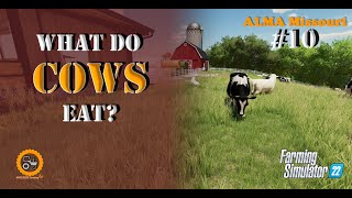 Meet Our New Herd Introducing the Cows  ALMA Missouri  FS 22  Episode 10 [upl. by Dexter]