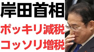 岸田首相・ポッキリ減税・コッソリ増税でウッシッシ！…と思いきや全部ばれてる件 [upl. by Plath609]