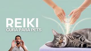 Reiki para Animais Cura e BemEstar para Seu Pet – Sessão de Energia Calmante [upl. by Aerbua]