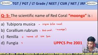 phylum coelenterata previousyearquestions [upl. by Bonnice]