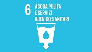 Agenda 2030 Obiettivo 6 Acqua pulita e servizi igienico sanitari [upl. by Mairem]