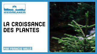 09 Comment les plantes grandissentelles [upl. by Ttenyl]