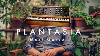 Mort Garson  Plantasia [upl. by Goines]