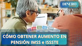 ¿Cómo aumentar tu pensión IMSS e ISSSTE   Dinero en Imagen [upl. by Aehsrop]