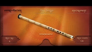 Sonokinetic Ney  Demo [upl. by Anielram]